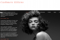 Cashmere Kittens -  Escort Agency